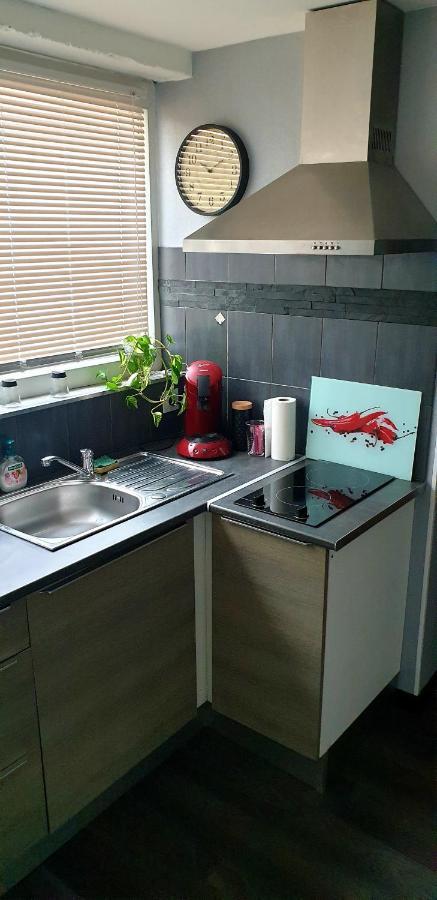 Appartamento Plaisir Extreme Roanne Esterno foto